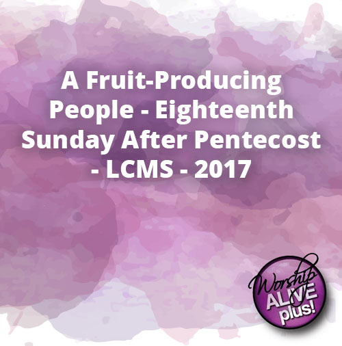 A Fruit Producing People Eighteenth Sunday After Pentecost LCMS 2017