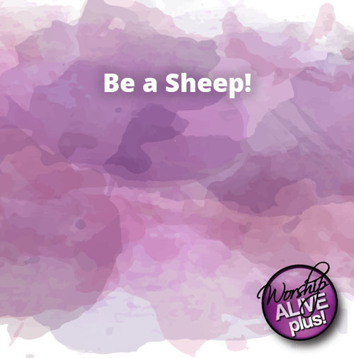 Be a Sheep