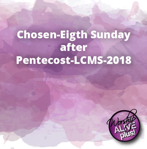 Chosen Eigth Sunday after Pentecost LCMS 2018