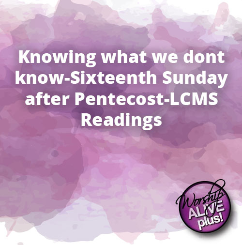 Knowing what we dont know Sixteenth Sunday after Pentecost LCMS Readings