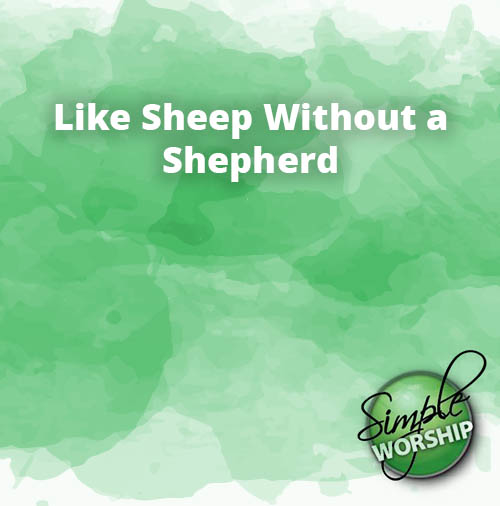 Like Sheep Without a Shepherd