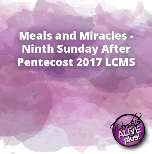 Meals and Miracles Ninth Sunday After Pentecost 2017 LCMS