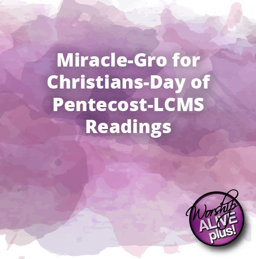 Miracle Gro for Christians Day of Pentecost LCMS Readings