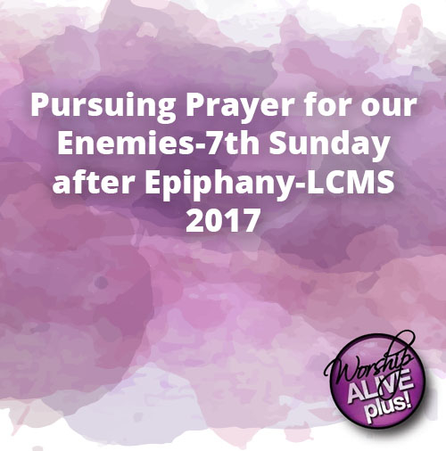 Pursuing Prayer for our Enemies 7th Sunday after Epiphany LCMS 2017