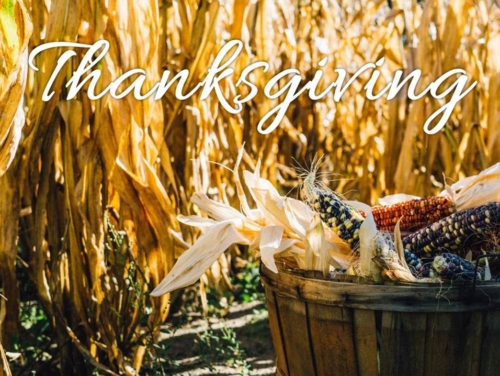 Thanksgiving corn