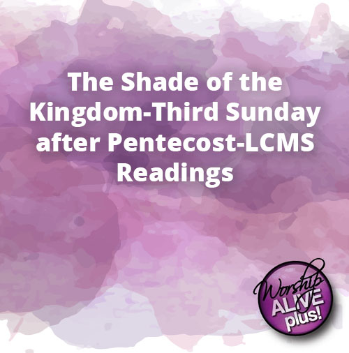 The Shade of the Kingdom Third Sunday after Pentecost LCMS Readings