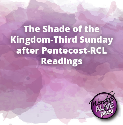 The Shade of the Kingdom Third Sunday after Pentecost RCL Readings